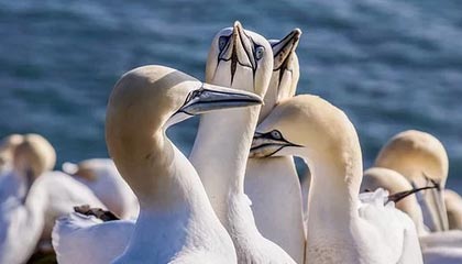 爱游戏下载_ 如何利用大数据提升赛事的观众体验，爱游戏科技有限公司