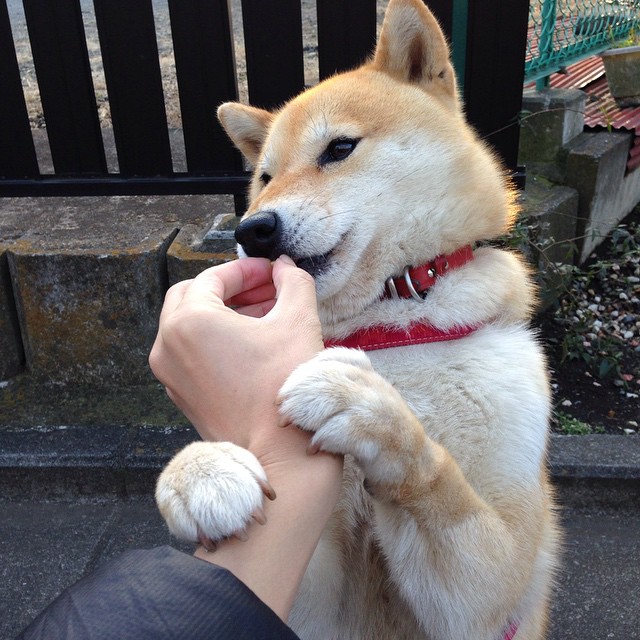 NBA未来城市巡回赛:推动篮球全球化的新动向,nba未来可期球员