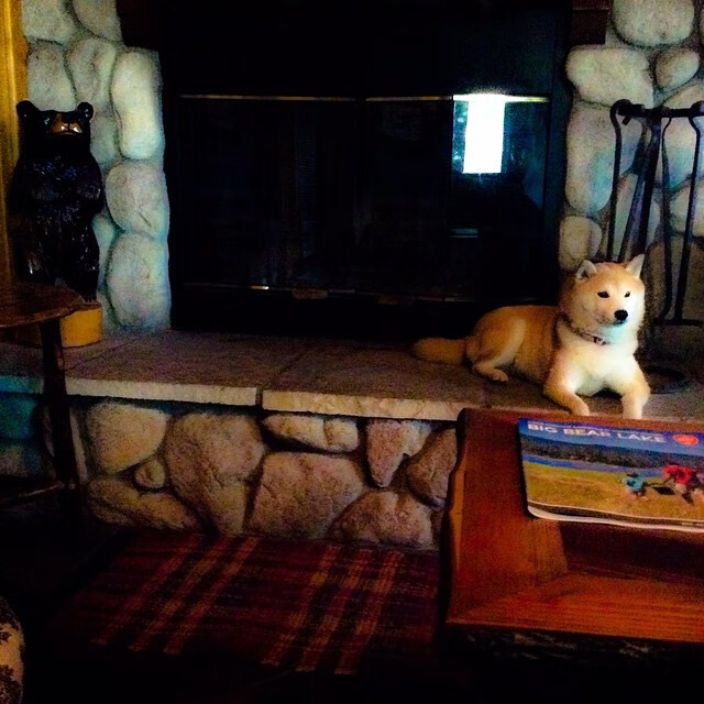 利兹联关键时刻破门,扭转不利局面,利兹联吧百度贴吧