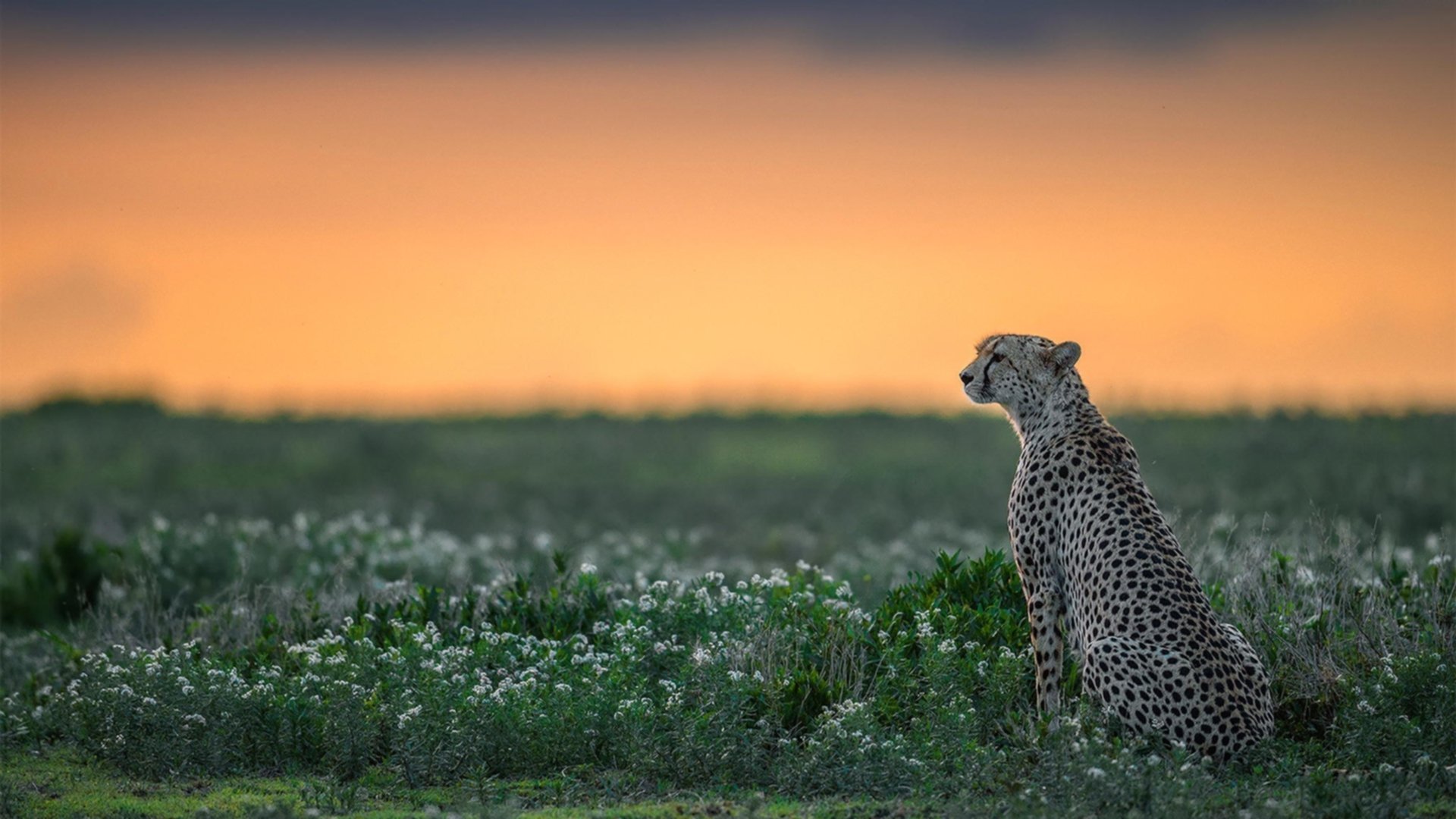 小组赛激战正酣：不可错过的精彩比赛分析，小组赛比赛顺序