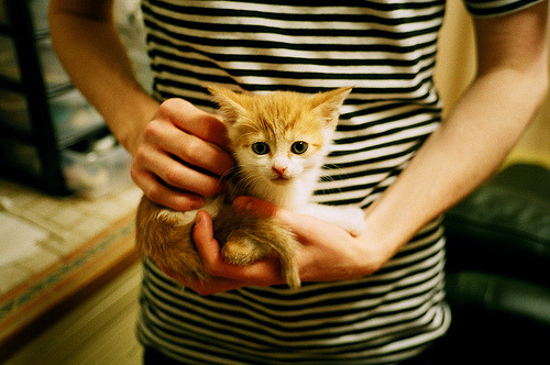 日本队小组出线成功，展望更高目标，日本队出线形势