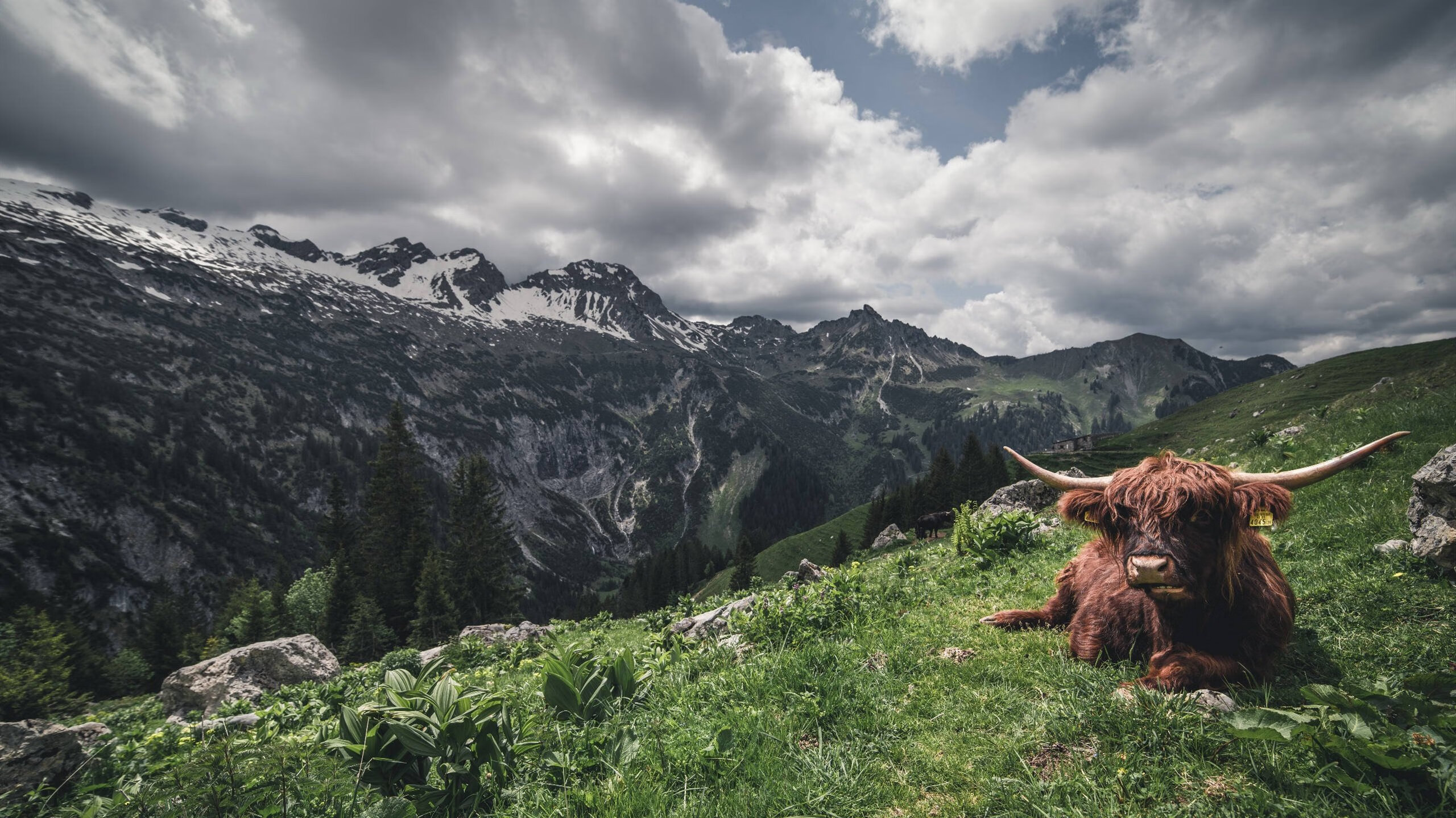 篮下争夺：北京抢到50个篮板，攻守都占优！，北京篮球队比赛