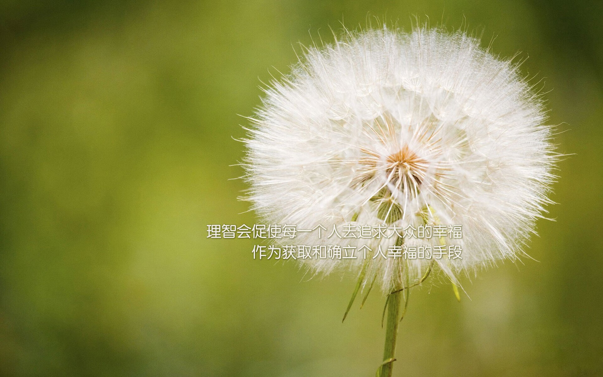 RNG年轻选手晋升主力阵容，rng选手名单