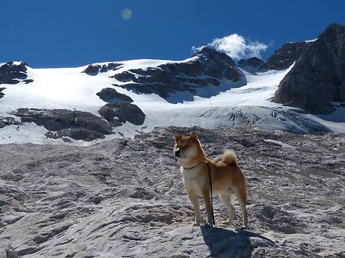 米尔顿凯恩斯防守稳健，马林斯军团全力保级，米尔顿凯恩斯斯诺克