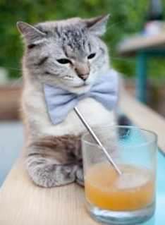 德甲青训中心开展多感官刺激训练提升比赛应对效率，多感官训练游戏方案