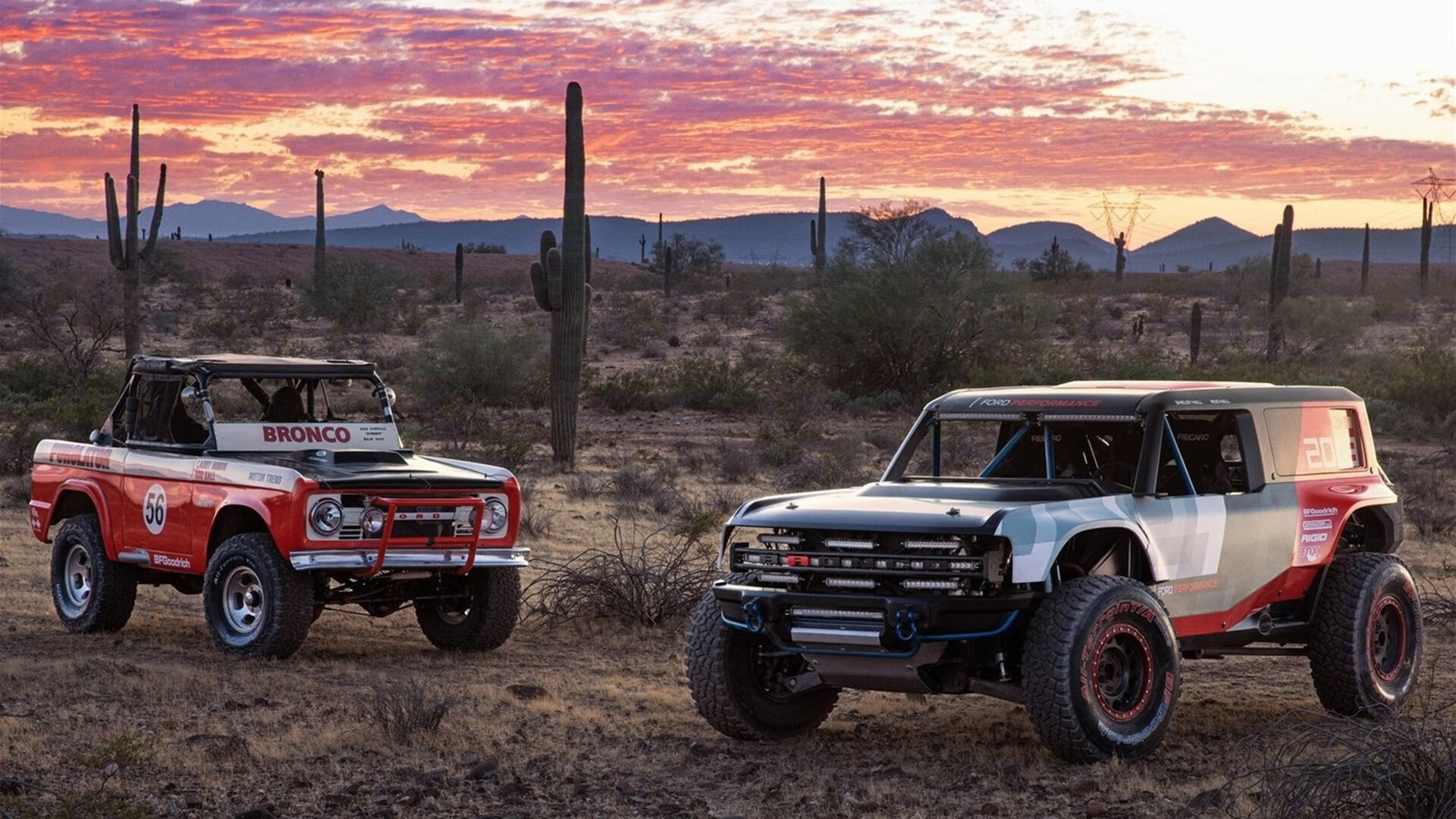 青少年体育锻炼促进策略研究与效果评估,青少年体育运动指导与实践