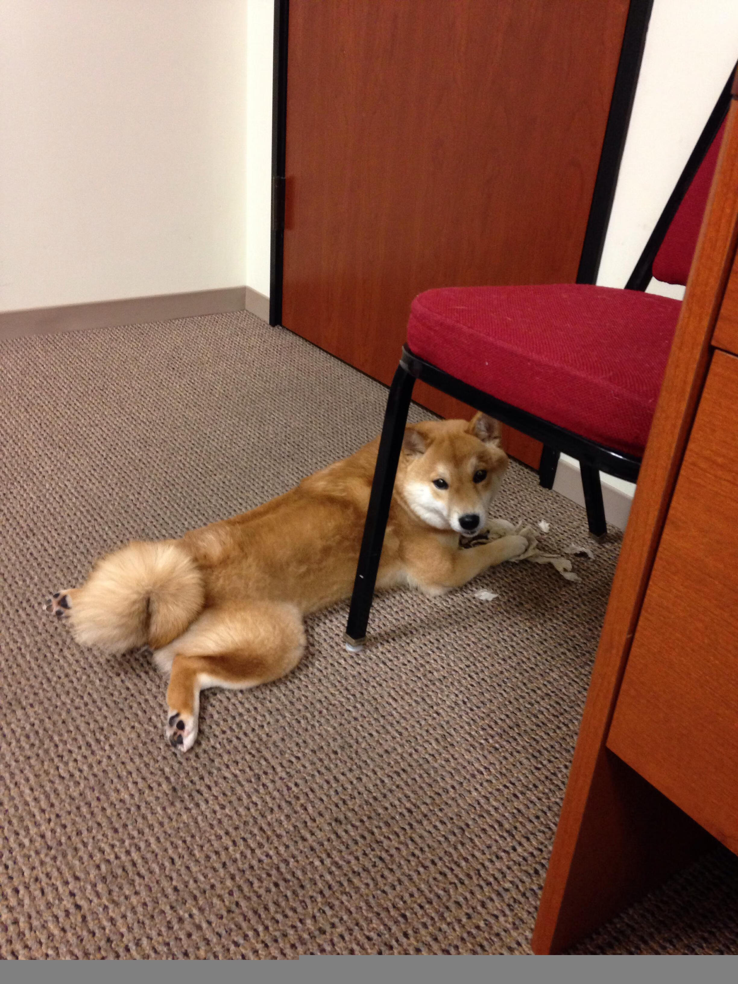 曹缘展现强大心理素质与赛场韧性，冠军专访曹缘